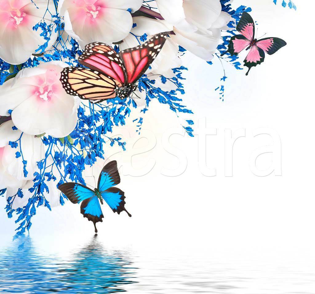 Фотообои 3д бабочки над водой